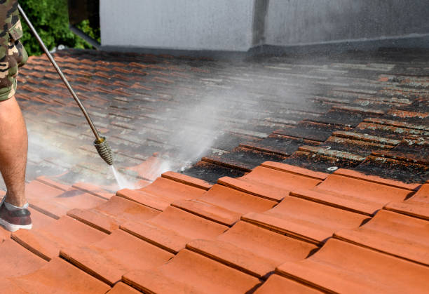 Best House Pressure Washing  in Choteau, MT