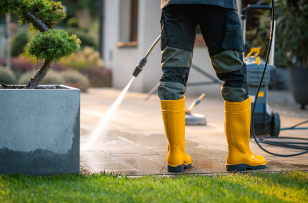 Best Pressure Washing Services Near Me  in Choteau, MT